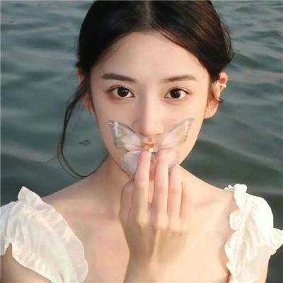 打扰伯格曼