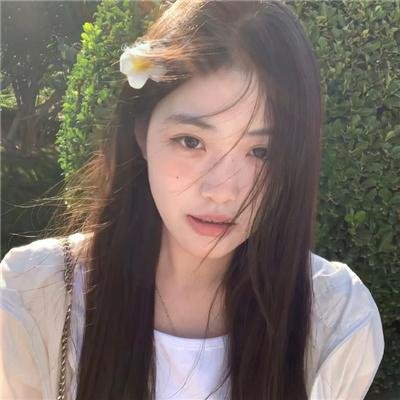 吉娃娃